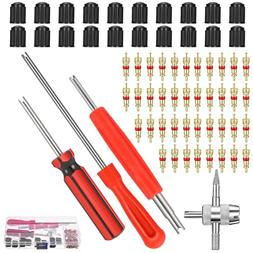 FANTESI 64 Stücke Ventilkern Reparatur Werkzeug, 3 Stück Auto Bike ventilausdreher Ventilschlüssel, 1 Stück 4 Wege Ventilkernwerkzeug, 20 Stück ventilkappen Fahrrad, 40 Stück Ventilkern