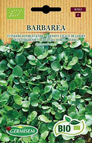 Germisem Bio Graines Cresson vivace de jardin BARBAREA, vert