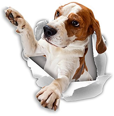 Winston & Bear 3D Reaching Beagle Decals - Dog Stickers for Wall, Car, Fridge, Toilet and More - Retail Packaged - 2 Pack