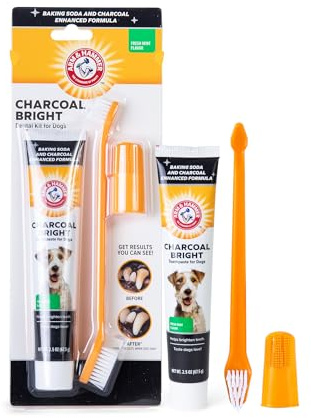 Arm & Hammer, 2 Count (Pack of 1), White Plaque Removal Dental Kit for Dog, Charcoal