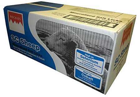Rockies Salt Lick for Sheep 20kg (2 x 10Kg Blocks)