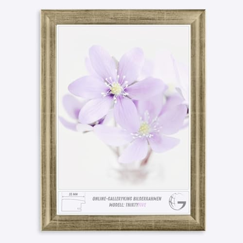 Online-GalleryKing Cornice Foto 17 x 17 cm Cornice per Poster Puzzle Collage di Foto Colore Argento Foglia in Vetro antiriflesso e Cornice in MDF da 35 mm