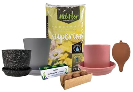 Meliflor Kit de Cultivo en casa de Hierbas aromáticas (Albahaca, hierbabuena y Menta) Semillas en Bomba de Arcilla, macetas de cerámica de diseño, sustrato de Calidad y ollas de riego