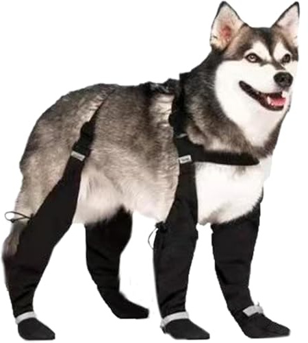 YEHOOM Botas de lluvia y zapatos para perros con tirantes y protectores de patas, impermeables, antideslizantes, reflectantes, talla XXL