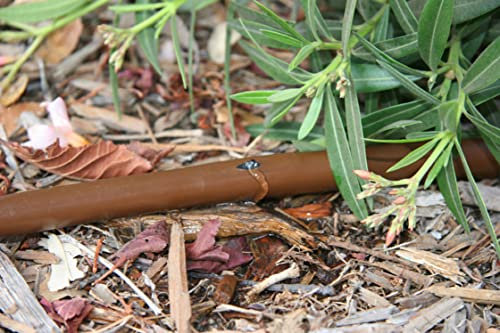 Rain Bird Tropfrohr Dripline XFD 16 mm, 33 cm - druckausgleichend + selbstreinigend, 2,3 l/h überirdisch Farbe Dunkelbraun (50 Meter (0,84 € pro Meter))