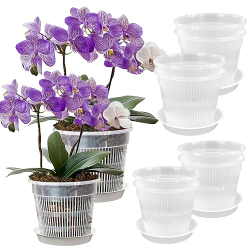 JNEYVIC 10 Pcs Maceta de Plástico Transparente Orquidea con Agujeros de Drenaje y Bandejas 14cm y 16cm Maceta Pequeña Plastico para Balcón Interior y Exterior Suculentas Orquídeas Dendrobiums Hierbas