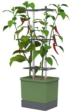 GUSTA GARDEN Charly Chili Chilitopf - Pflanzentopf mit Rankhilfe, Bewässerungssystem & Robustem Rahmen (Dunkelgrün, XL)