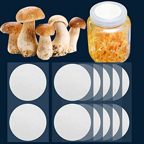 ZHANXUBIO Membran-Filteraufkleber, 20 mm, 58 mm, 65 mm, 82 mm, 90 mm, 0,3 um, stark haftend, Filterscheibe für Pilzzucht (90 mm, 12)