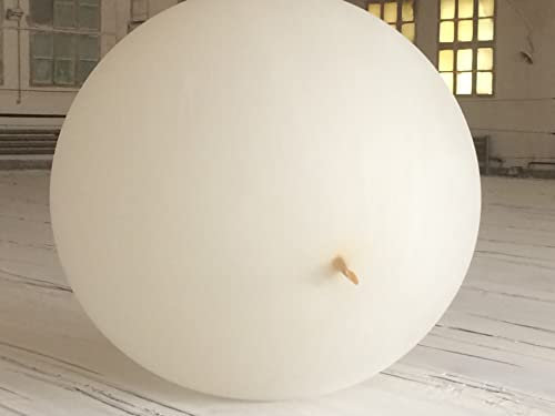 Hwoyee Palloncino meteorologico professionale per video aereo, decorazione per feste e intrattenimento, giocattoli enormi (600 g/650 cm)