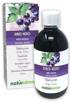 Grosellero negro (Ribes nigrum) hojas y frutos Tintura Madre sin alcohol Naturalma - Extracto líquido gotas 500 ml - Complemento alimenticio - Vegano