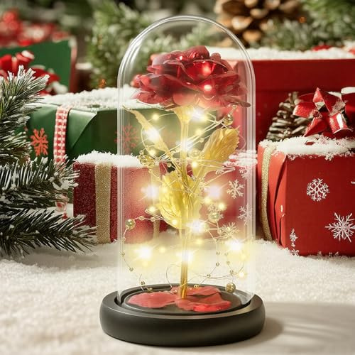 Ewige Rose im Glas – Geschenke für Frauen, Frauen, Rosen mit LED Lichtern, Weihnachtsgeschenke, Muttertagsgeschenke, Mama, Freundin, Oma & Frau