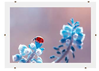 Online-GalleryKing Cornice a clip senza cornice 21x30 cm con vetro acrilico antiriflesso | Cornice portafoto | Foto | Poster | collage | cornice | Tutte le taglie
