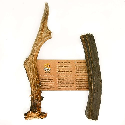 RF-DEER Gioco naturale di corna di cervo da masticare per cani Osso giocattolo e leccornia Capriolo e cervo Spuntino naturale, sicuro e sano per il vostro cane Duro, 2 pezzi L