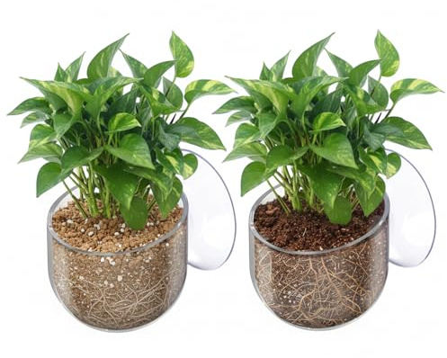 2 Pcs Aquarium Plant Holder Live Aquarium Plants Holder with Suction Cup