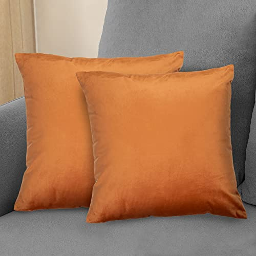 Komfortec Juego de 2 Fundas de cojín de Terciopelo de 40 x 40 cm, Decorativas, Fundas de Almohada, Dormitorio, Funda de cojín Decorativa para sofá y sofá con Cremallera, Naranja