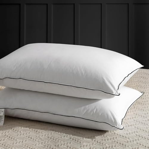 APSMILE Almohada de Pluma 60x60, Almohada de Lujo para Dormir de Pluma de Ganso, 100% algodón orgánico Funda, Almohada de Cama Envuelta en poliéster de la colección hotelera (Blanca, 2 Piezas)