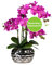 CREATIV green stilvolle Phalaenopsis Kunstorchidee 55cm in violett I künstliche Orchideen wie echt mit Vase in Silber & naturgetreuen Blüten I Pflegeleichte & täuschend echte Kunstblumen