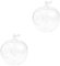 DECHOUS Corcho Manzana 2 Piezas Planta De Aire Florero De Centro De Mesa Terrario De Cristal Globo Florero De Planta De Agua Jardinera De Terrario Jarrón De Terrarios Vidrio Puesto De Plantas Colgante