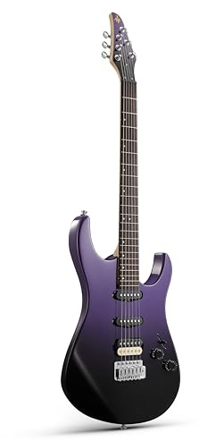 Donner DMT-66 Solid Body Electric Guitar Kit for Beginners, Full Size 39 Electric Guitar with HSS Pickups, Poplar Body, Maple Neck, Starter Guitar with Gig Bag, Strap, Whammy Bar Arm, Purplish Black