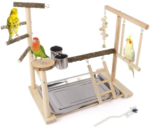 Dmnnlp Small Bird Playground Parakeet, Natural Wood Bird Play Stand Toys Perch with Removable Tray, Ladder for Cockatiel Conure Parakeet Lovebirds
