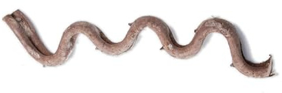 MHADBKH Natürliche Reptilien Eckast Kletterranke Rattanrebe für Terrarien dekorative Pflanze Rattanstock für Eidechsen Schlange