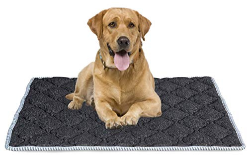 EVERGREENWEB - Materassino per Cane Imbottitura in MEMORY FOAM 90x115 cm Rivestimento Grigio Morbido LAVABILE Ipoallergenico, Letto Multiuso per Animali Domestici di Taglia Grande, Cuccia Tappeto, DOG