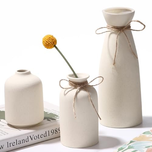Zaxiva Set di 3 Vaso in Ceramica Beige, Soprammobili Moderni Nordico Moderno e Minimalista per l'arredamento Della Casa, Fiori Secchi Decorativi per Vaso Design Casa, Centrotavola Decorativo da Tavolo
