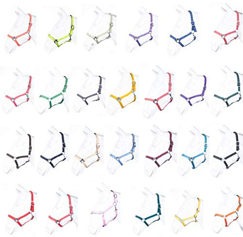 HKM by Reiterladen24 - Halfter unterlegt BASICLINE petrol Vollblut