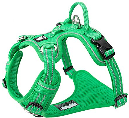 Truelove No-Pull No Overhead Reflective Dog Harness,Grass Green, XL | Side Release Neck Buckle, Adjustable, Easy to Wear, 2 Lead Rings, Outdoor Walking, For Small Medium Large Dogs, TLH56512
