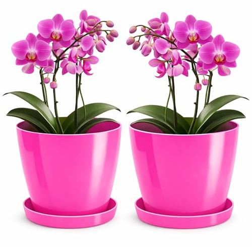 PECZEKO Vaso da fiori lucido in plastica, vaso decorativo per piante grandi e piccole, set da 2 vasi per fiori con sottovaso, vaso per erbe, fucsia, ø 14 cm