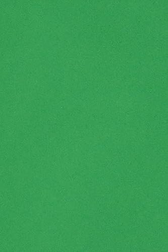 Netuno 10 cartoncini colorati verde formato A3 297 x 420 mm 250g Burano Verde Bandiera cartoncini stampabili fai da te biglietti da visita augurii bomboniere fogli colorati carta da zucchero