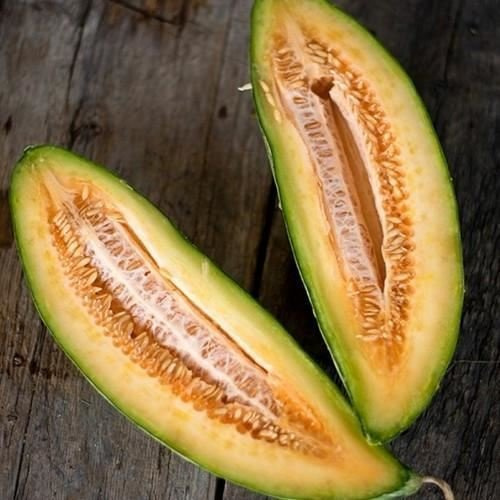 Semi Banana melone Cucumis melone 25 Semi