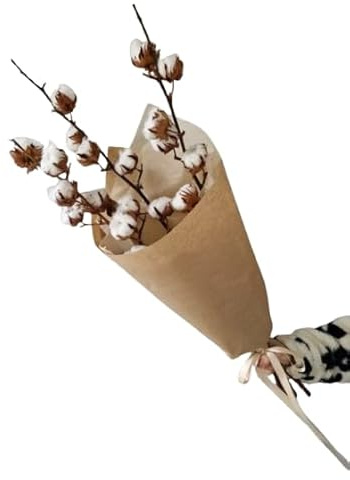 Bouquet de Algodón | DECOALIVE | Ramo de 5 Tallos de Flor de Algodón | Flores Frescas Naturales