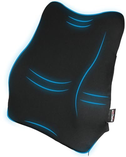 FORTEM Auto Lendenkissen, Rückenstütze für Autositz, Kissen aus Memory-Schaum, atmungsaktiver, waschbarer Bezug