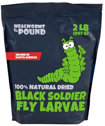 North American Grown Dried Black Soldier Fly Larvae (2 lbs) - More Calcium Than Mealworms - Treats for Chickens, Wild Birds, & Reptiles