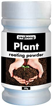Lecerrot Root Fertilizer Seedling, Rooting Powder Root Fertilizer, Rooting Hormones For Cuttings, Rooting Powder For Plant Cutting, Help New Roots Cuttings And Promotes Strong Healthy Roots
