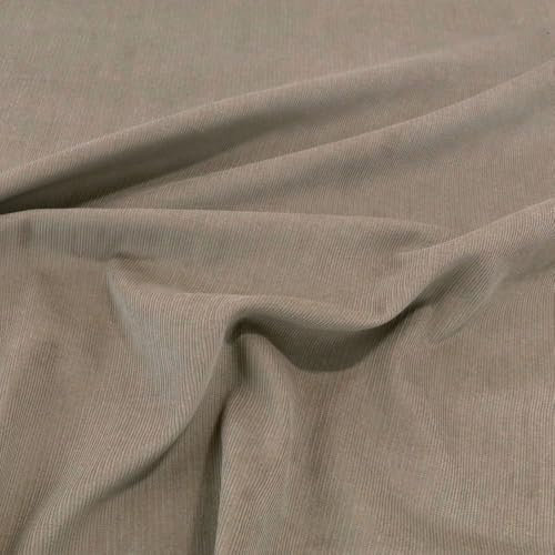 TOLKO 1m Baby Cord Stoff | feiner Baumwoll Cordsamt | Bekleidungsstoff für Hosen Jacken Kleider | weiche Meterware 140cm breit | uni Baumwollstoffe Nähstoffe günstig kaufen (Sand Beige)