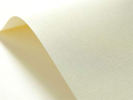 Netuno 20x cartoncino goffrato avorio raster formato A4 21 x 29,7 cm 246g carta strutturata goffrata per biglietti visita auguri partecipazioni inviti matrimonio compleanno carta textured