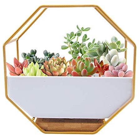 O'woda Blumentopf Wand Pflanztopf, Weiße Moderne Wandvasen Keramik Deko für Sukkulenten Kaktus Wanddeko Balkon Gartendekor (Golden)