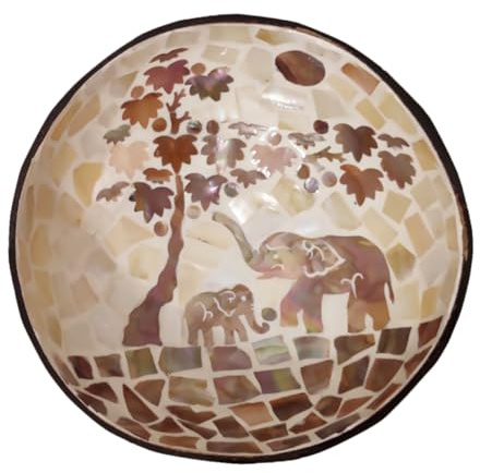 Angoily Bol Coque de Noix Naturelle pour Snacks Noix et Rangement Clés Bol Polyvalent Décoratif pour Cuisine et Salon