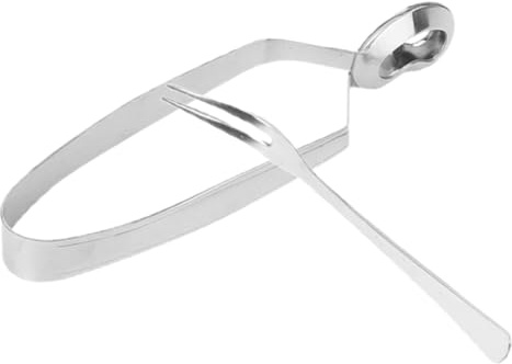 TINEASUR Set 2 Pezzi Pinze per Servire Lumache in Acciaio Inox, Forchetta per Lumaca, Utensili da Cucina Resistenti All’usura, Leggeri e Maneggevoli, per Ristoranti e Uso Domestico