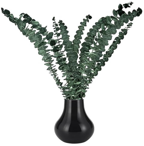10 piante artificiali di eucalipto, gambi di eucalipto secchi per la doccia, grande mazzo di foglie di eucalipto, in pianta verde di eucalipto fresca, da appendere