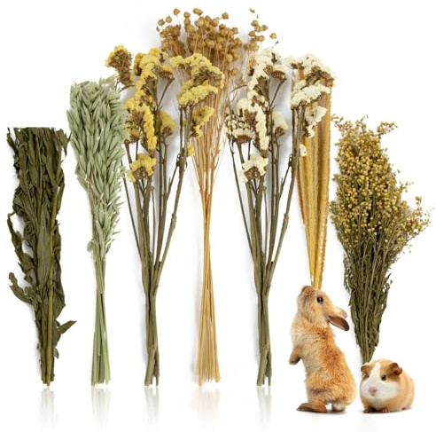 Sukh 47Pcs Natural Hamster Bedding - Flower Herb Sprays Enclosure Decor & Hideout Enriching Habitat Decor, Ideal for Dwarf Hamsters, Syrian Gerbils, Mice and Other Small Rodents