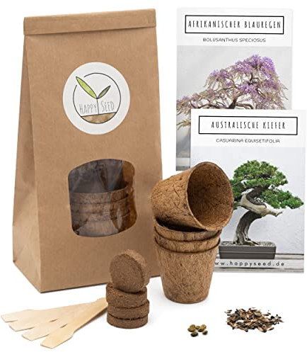 Bonsai Starter Kit Anzuchtset inkl. eBook - Pflanzset aus Kokostöpfen, Samen & Erde - nachhaltige Geschenkidee für Pflanzenfreunde (Afrikanischer Blauregen + Australische Kiefer)