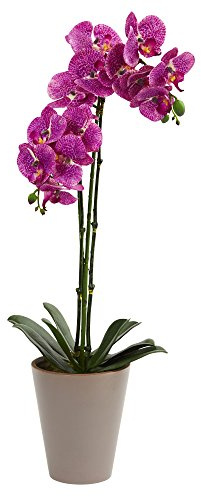 Nearly Natural 24in. Speckled Phalaenopsis Orchid Artificial Arrangement