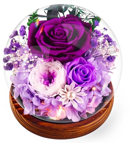 Rosa Stabilizzata Vera Regalo per la Festa Della Mamma per Donne Mamma Moglie, Avanzate Regalo Donna, Rosa Eterna Fiore Bella e la Bestia con Luci LED, Anniversario Regalo Rosa Moglie Nonna, Viola