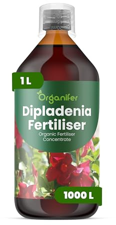 Organiskt flytande gödsel 1L för Dipladenia – frodiga blad och hälsosam blomning - Organifer