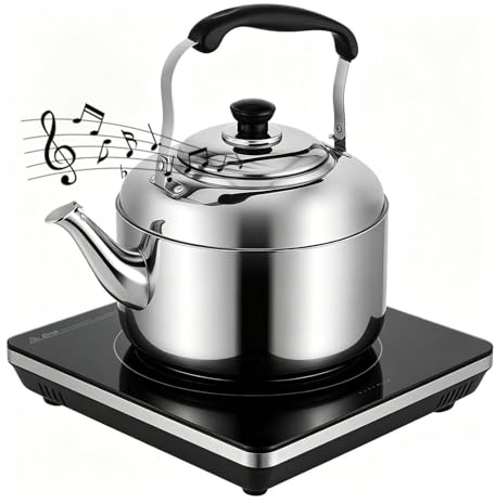 Con Silbato Hervidor De Agua Hirviendo En Acero Inoxidable Para Cocina