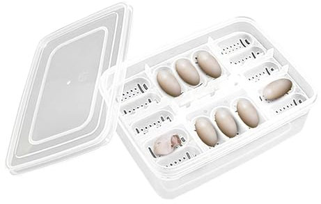 Reptilien-Schlüpfbox - Reptilien-Inkubator, Reptilien-Eier-Inkubator-Tablett | 16 Gitter Transparente Reptilien-Eierzucht-Brutkasten, Tragbare Schlüpfschale für Eierentwicklung, Schlüpfkasten,