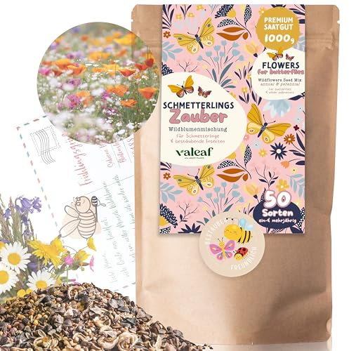Pradera de mariposas 1000 g I semillas de pradera de flores I semillas de flores silvestres para mariposas y abejas
